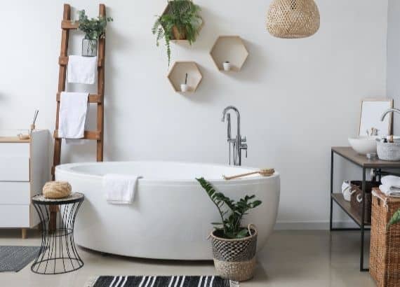 white bathtub with plants
